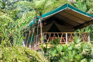Glamping Tent at Rafiki Eco Lodge in Costa Rica