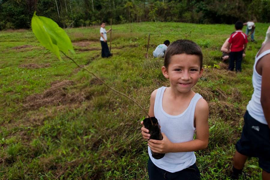 Child holding a tree sapling that will be planted soon - Costa Rica