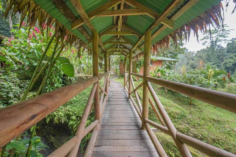 Walking to your room, over the foot bridge, at the Rios Lodge in Costa Rica