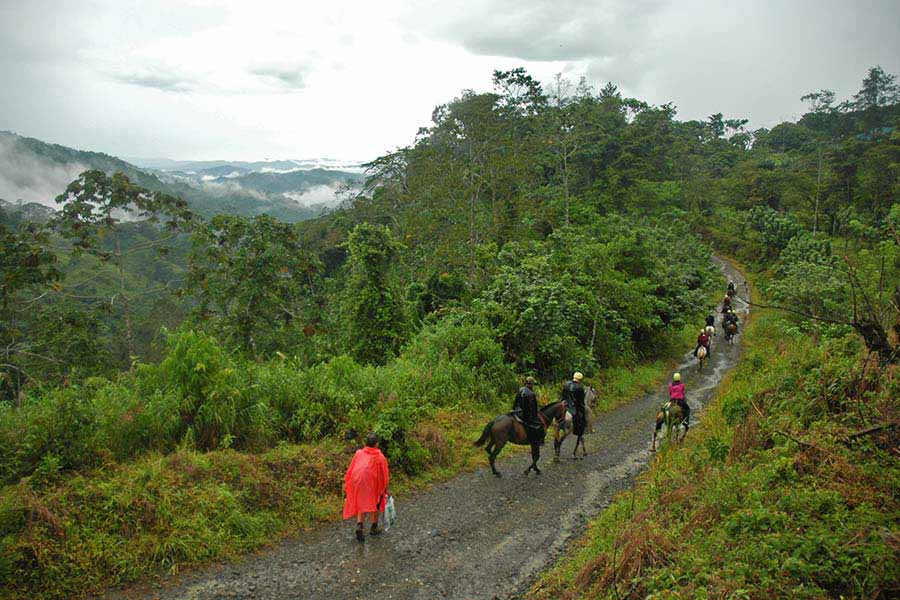 A group of horseback riders on a trailride with Rios Lodge