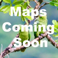 'Maps Coming Soon' text over image of parrots